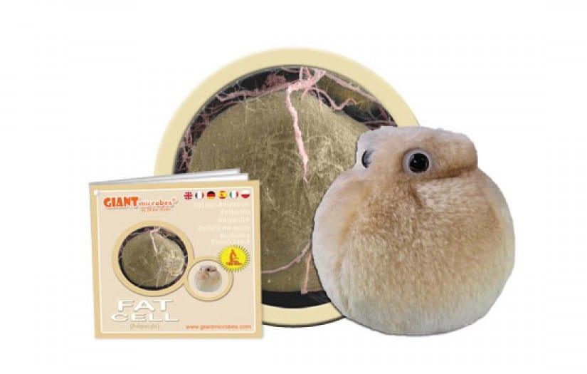 Giant Microbes Original Fat Cell (Adipocyte) - Guzzgoggs
