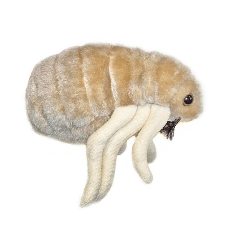 Giant Microbes Original Flea Plush Educational Toy - Guzzgoggs