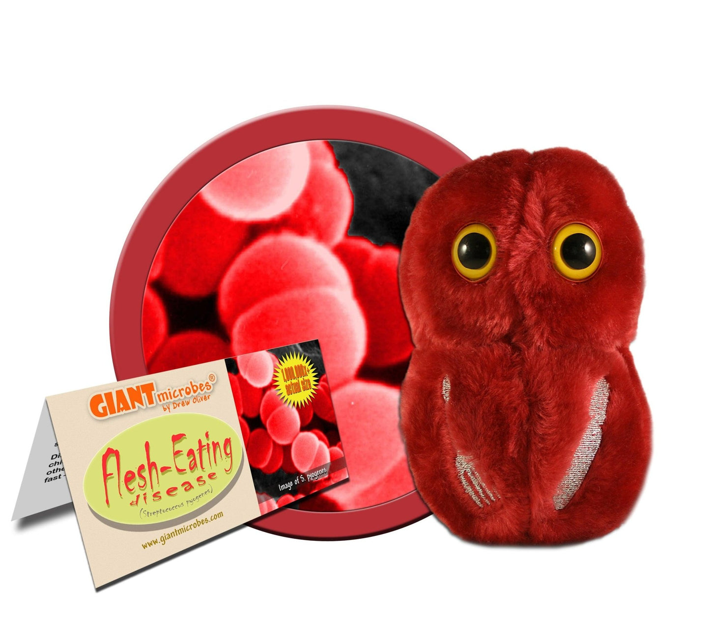 Giant Microbes Original Flesh Eating Streptococcus Pyogenes Plush Educational Toy - Guzzgoggs