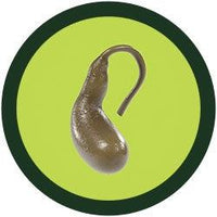 Giant Microbes Original Gallbladder - Guzzgoggs