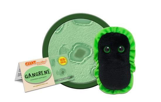 Giant Microbes Original Gangrene Plush Educational Toy - Guzzgoggs