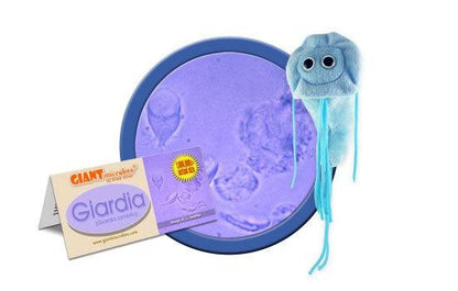 Giant Microbes Original Giardia Plush Educational Toy - Guzzgoggs