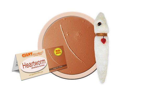 Giant Microbes Original Heartworm Plush Educational Toy - Guzzgoggs