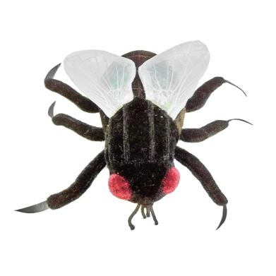 Giant Microbes Original House Fly - Guzzgoggs