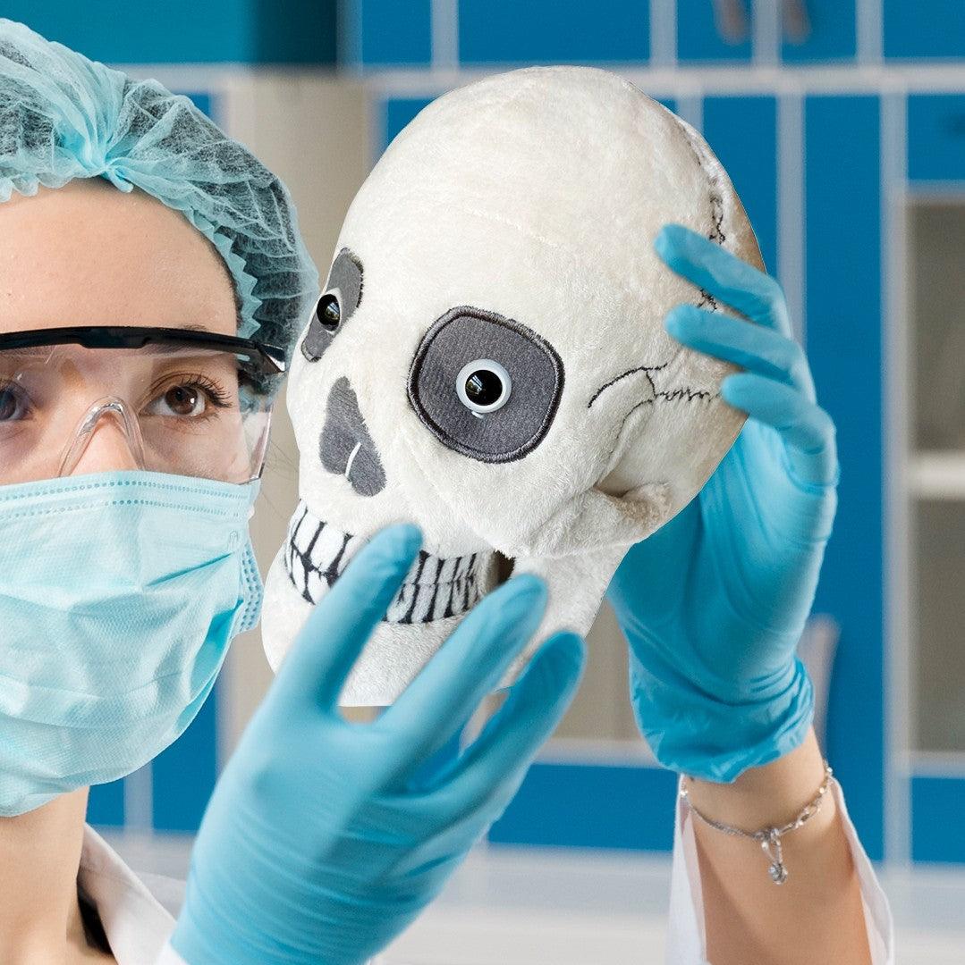 Giant Microbes Original Human Skull - Guzzgoggs