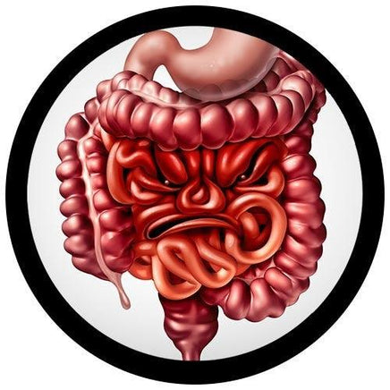 Giant Microbes Original IBS Irritable Bowel Syndrome - Guzzgoggs