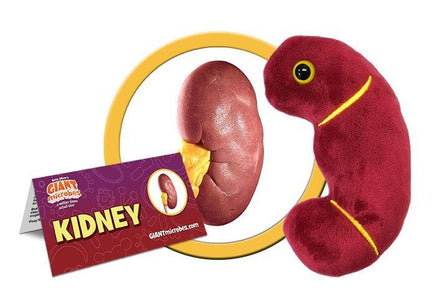 Giant Microbes Original Kidney - Guzzgoggs