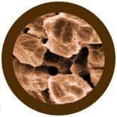 Giant Microbes Original Liver Cell (Turns Inside Out) - Guzzgoggs