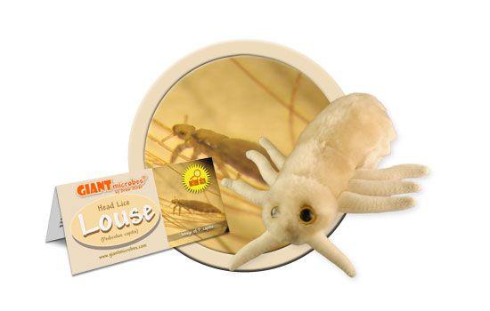 Giant Microbes Original Louse (Hair Louse) Plush Educational Toy - Guzzgoggs