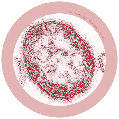 Giant Microbes Original Measles Morbillivirus - Guzzgoggs