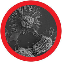 Giant Microbes Original Melanoma Cancer (Turns Inside Out) - Guzzgoggs