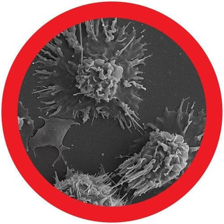 Giant Microbes Original Melanoma Cancer (Turns Inside Out) - Guzzgoggs
