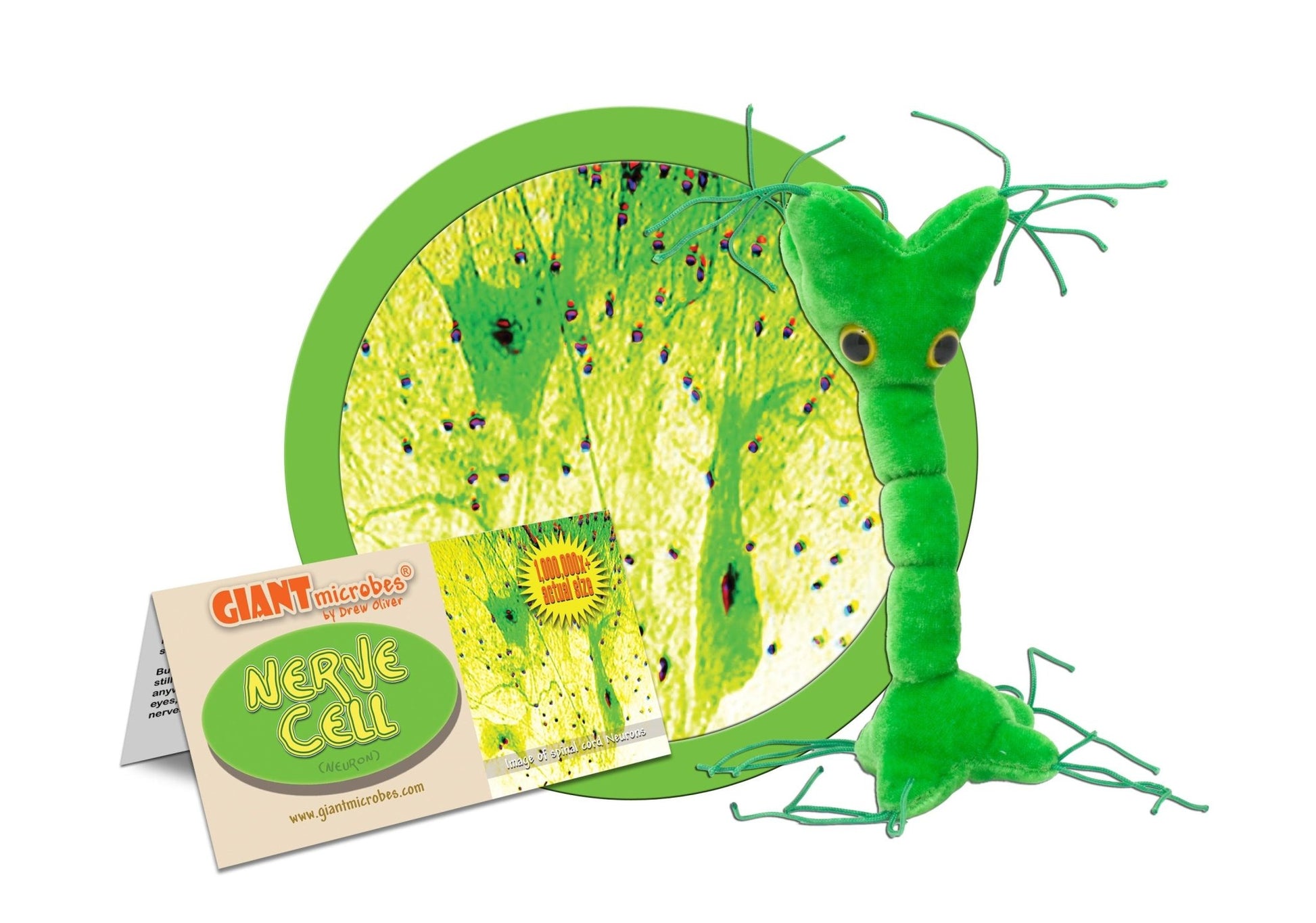 Giant Microbes Original Nerve Cell Neuron - Guzzgoggs