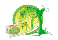 Giant Microbes Original Nerve Cell Neuron - Guzzgoggs