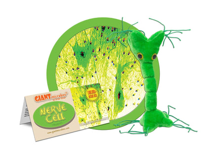 Giant Microbes Original Nerve Cell Neuron - Guzzgoggs