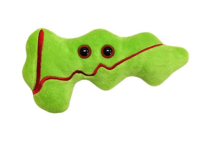 Giant Microbes Original Pancreas - Guzzgoggs