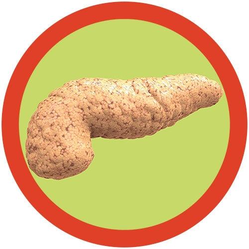 Giant Microbes Original Pancreas - Guzzgoggs