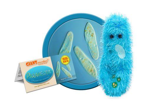 Giant Microbes Original Paramecium Plush Educational Toy - Guzzgoggs