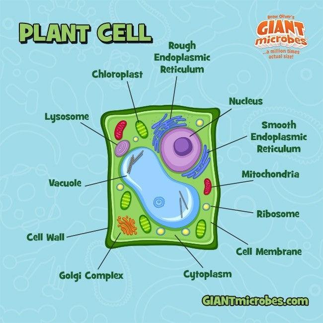 Giant Microbes Original Plant Cell - Guzzgoggs