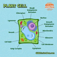 Giant Microbes Original Plant Cell - Guzzgoggs