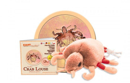 Giant Microbes Original Pubic Crab Louse - Guzzgoggs