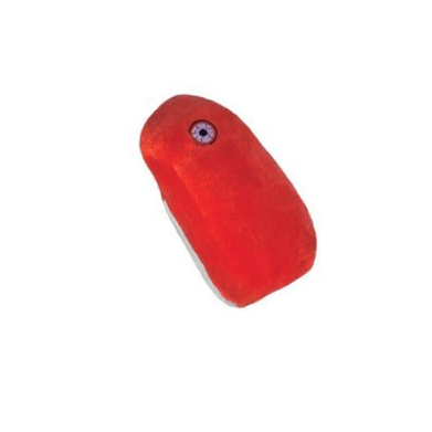 Giant Microbes Original Rabies Virus Plush Educational Toy - Guzzgoggs