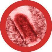 Giant Microbes Original Rabies Virus Plush Educational Toy - Guzzgoggs