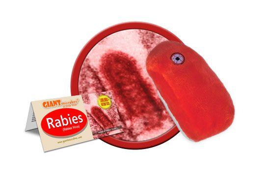 Giant Microbes Original Rabies Virus Plush Educational Toy - Guzzgoggs