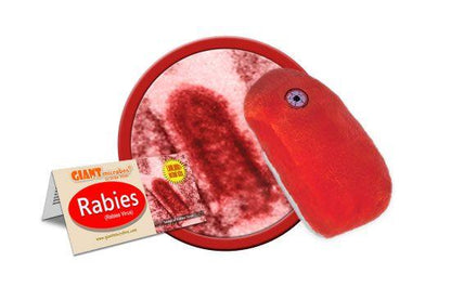 Giant Microbes Original Rabies Virus Plush Educational Toy - Guzzgoggs