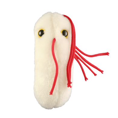 Giant Microbes Original Salmonella - Guzzgoggs