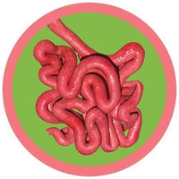 Giant Microbes Original Small Intestine Plush Educational Toy - Guzzgoggs