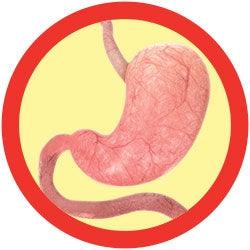 Giant Microbes Original Stomach Plush Educational Toy - Guzzgoggs