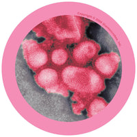 Giant Microbes Original Swine Flu (Influenza A Virus H1N1) - Guzzgoggs