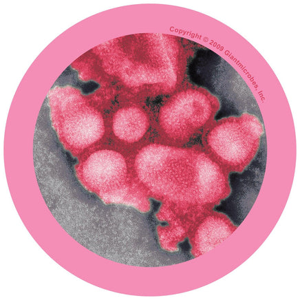 Giant Microbes Original Swine Flu (Influenza A Virus H1N1) - Guzzgoggs