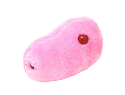 Giant Microbes Original Swine Flu (Influenza A Virus H1N1) - Guzzgoggs