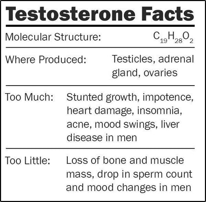 Giant Microbes Original Testosterone - Guzzgoggs