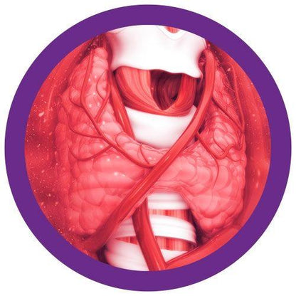 Giant Microbes Original Thyroid - Guzzgoggs