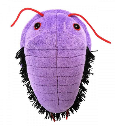Giant Microbes Original Trilobite Asaphiscus Wheeleri - Guzzgoggs