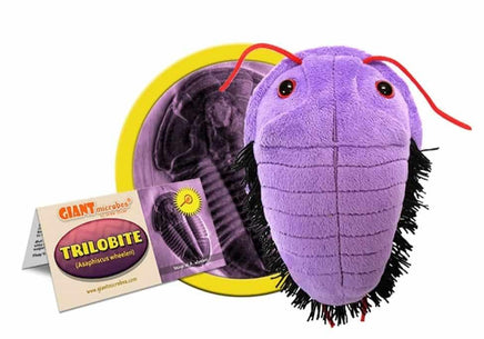 Giant Microbes Original Trilobite Asaphiscus Wheeleri - Guzzgoggs