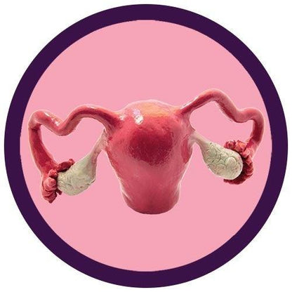 Giant Microbes Original Uterus - Guzzgoggs