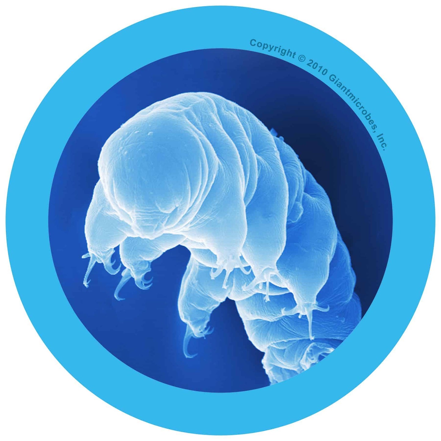 Giant Microbes Original Waterbear Hypsibius Dujardini - Guzzgoggs