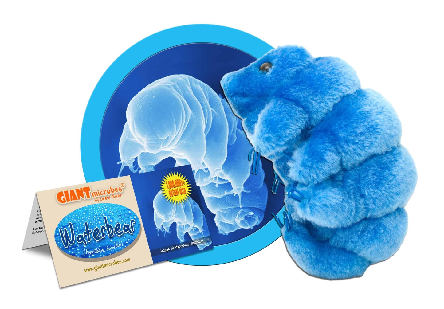 Giant Microbes Original Waterbear Hypsibius Dujardini - Guzzgoggs