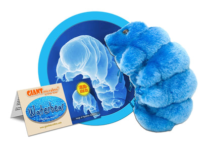 Giant Microbes Original Waterbear Hypsibius Dujardini - Guzzgoggs
