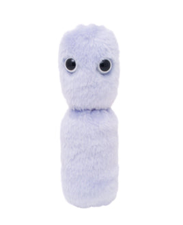 Giant Microbes Original Yoghurt Lactobacillus Bulgaricus Plush Educational Toy - Guzzgoggs
