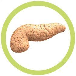 Giant Microbes Pancreas Keyring - Guzzgoggs