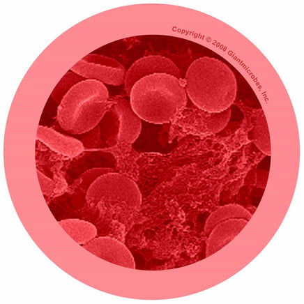 Giant Microbes Red Blood Cell Erythrocyte - Guzzgoggs
