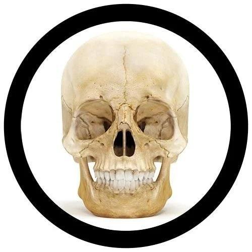 Giant Microbes Skull Keyring - Guzzgoggs