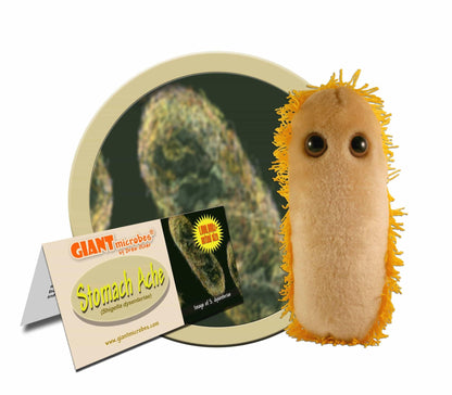 Giant Microbes Stomach Ache Shigella - Guzzgoggs
