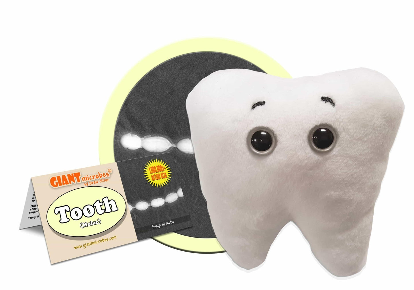Giant Microbes Tooth Molar with Zip Pocket - Guzzgoggs