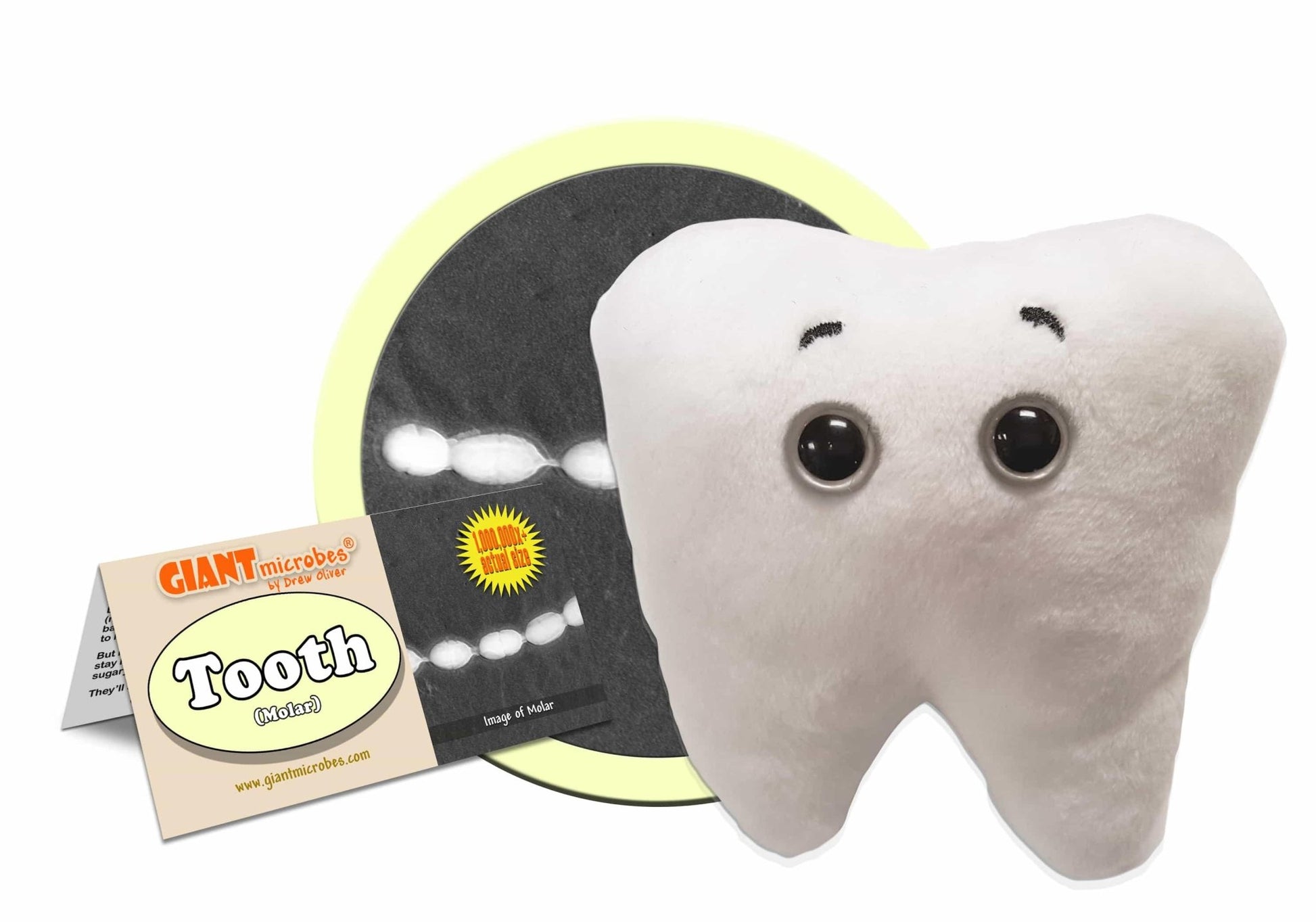 Giant Microbes Tooth Molar with Zip Pocket - Guzzgoggs